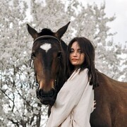 ���������� �����������, �����