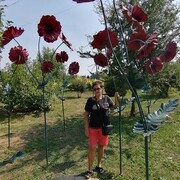  ,   , 67 ,   c 