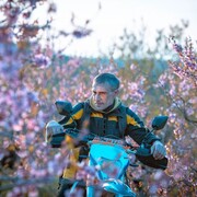 ���������� �����������, ���� ������� �������, 54 ����, ������������ ��� ������, ����� � ���������, c�������� ���������