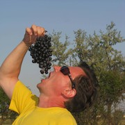  ,   Vlad, 53 ,   ,   , c 