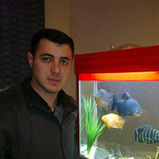 ���������� ����, ���� ������� ��������, 44 ����, ������������ ��� ������