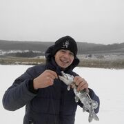 ���������� �����, ���� ����� ������, 25 ���, ������������ ��� ������, ����� � ���������, c�������� ���������, ���������