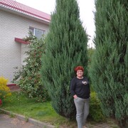 ���������� �������, ���� ������� ��������, 65 ���, ������������ ��� ������, ����� � ���������, c�������� ���������