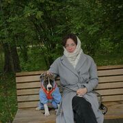 ���������� ���������, ����