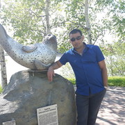  -,   , 38 ,   ,   , c 