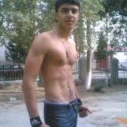 ���������� ����, ���� ������� Amir, 33 ����, ������������ ��� ������