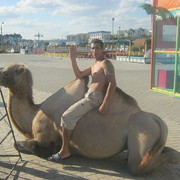 ���������� �����������, ���� ������� ����, 49 ���, ������������ ��� ������, ����� � ���������, c�������� ���������, ���������