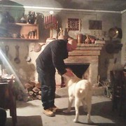  ,   Selkaio, 50 ,   