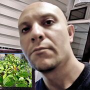  -,   , 41 ,   ,   