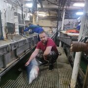 ���������� �����������, ���� ������� ����, 39 ���, ������������ ��� ������, ����� � ���������, c�������� ���������, ���������