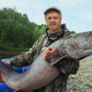  ,   Sergei, 61 ,   ,   , 