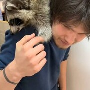 ���������� �������, ���� ����� Steam, 24 ����, ������������ ��� ������, ����� � ���������, c�������� ���������, ���������