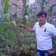  ,   SOBIR, 43 ,   