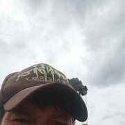  ,  , 41