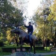 ���������� ������, ���� ������� ���������, 37 ���, ������������ ��� ������, ����� � ���������