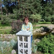 ���������� ��������, ���� ������� �������, 60 ���, ������������ ��� c�������� ���������