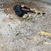 ���������� ����, ���� ������� �����, 32 ����, ������������ ��� ������, ����� � ���������, c�������� ���������, ���������