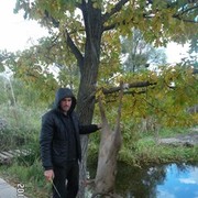  ,   , 41 ,   ,   , c 