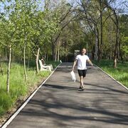 ���������� �������, ���� ������� �����, 44 ����, ������������ ��� ������, ����� � ���������, c�������� ���������, ���������