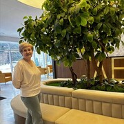  ,   , 64 ,     