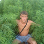   ,   Tarasik, 33 ,     , c 