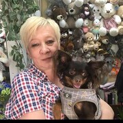 ���������� �����-�����, ������� ������, 52