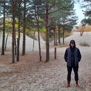 ���������� ������������, ���� ������� �������, 31 ���, ������������ ��� ������, ����� � ���������