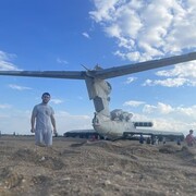 ���������� ���������, ���� ������� ���, 29 ���, ������������ ��� ������, ����� � ���������, c�������� ���������