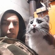  ,   , 29 ,     , c , 