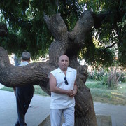  ,   , 56 ,   , 