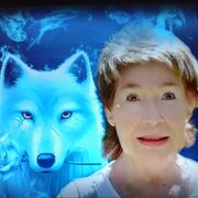 ���������� �����������, ���� ������� �����, 98 ���, ������������ ��� ������, ����� � ���������, ���������