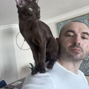 ���������� ������, ���� ������� Denis, 44 ����, ������������ ��� ������, ����� � ���������