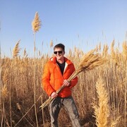 ���������� �����������, ���� ������� �������, 46 ���, ������������ ��� ������, ����� � ���������