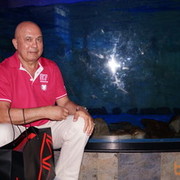 ,   , 59 ,   