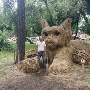 ���������� �����������, ���� ������� Vl, 46 ���, ������������ ��� ������, ����� � ���������, c�������� ���������