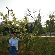 ���������� ��������, ���� ������� ������, 54 ����, ������������ ��� ������, ����� � ���������, c�������� ���������