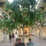  ,   , 35 ,   