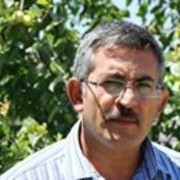  Mimarsinan,  hiko, 59