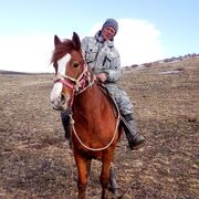 ���������� ����-�����������, ���� ������� ������, 37 ���, ������������ ��� c�������� ���������