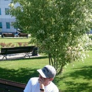 ���������� ���������, ���� ������� ����, 43 ����, ������������ ��� ������, ����� � ���������, c�������� ���������