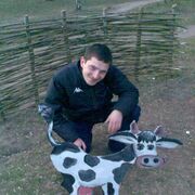 ���������� ������, ���� ������� Igel Schnauz, 48 ���, ������������ ��� ������, ����� � ���������, c�������� ���������, ���������