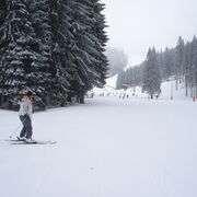  ,   Sergei, 64 ,     , c 