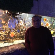 ���������� ����, ���� ������� ���������, 45 ���, ������������ ��� ������