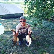 ���������� ����, ���� ������� ����, 26 ���, ������������ ��� ������, ����� � ���������, c�������� ���������