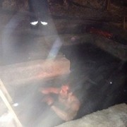 ���������� ���������, ���� ������� ������, 43 ����, ������������ ��� ������, ���������