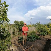 ���������� ������, ���� ������� �������, 33 ����, ������������ ��� ������, ����� � ���������