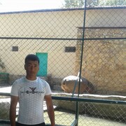 ���������� �������, ���� ������� Elbek, 32 ����, ������������ ��� ������, ����� � ���������, c�������� ���������