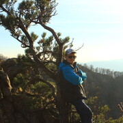 ���������� ���������, ���� ������� �������, 40 ���, ������������ ��� ������, ����� � ���������, c�������� ���������