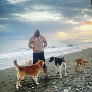  -,   Montecchi, 49 ,     , c , 