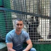 ���������� �����������, ���� ������� ���������, 29 ���, ������������ ��� ������, ����� � ���������, c�������� ���������